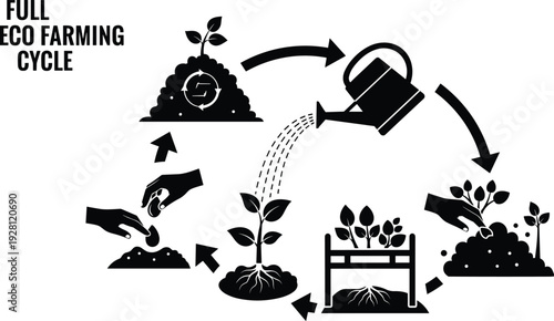 Eco farming cycle illustration, composting, planting seeds, watering soil, growing plants, harvesting crops, sustainable agriculture, recycling organic waste