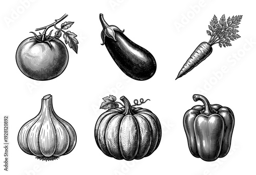 Set of six vintage hand drawn vegetable illustrations in woodcut engraving style including tomato eggplant carrot garlic pumpkin and bell pepper