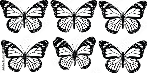 agave, succulent, silhouette, plant, desert, aloe, cactus, tropical, nature, vector, leaf, greenery, foliage, botanical, el