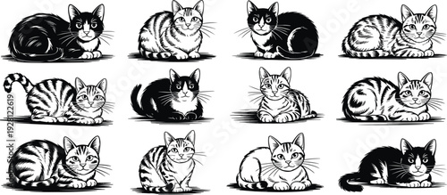Black and white illustrated cats grid, feline character variations, cute pet drawing collection, artistic animal patterns, playful vector design art