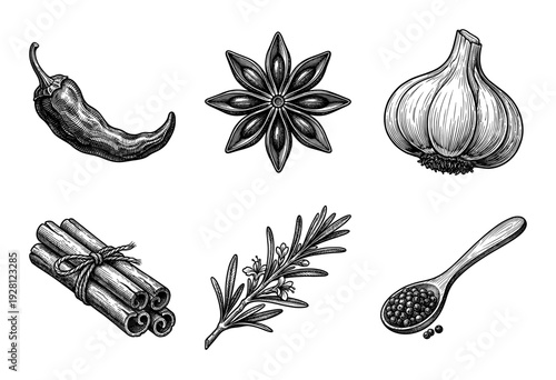 Vintage engraving style collection of culinary spices and herbs featuring chili pepper star anise garlic cinnamon rosemary and peppercorns