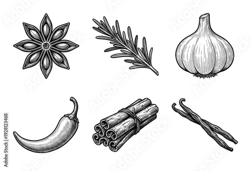 Vintage woodcut style collection of culinary spices and herbs including star anise, rosemary, garlic, chili pepper, cinnamon sticks, and vanilla beans.