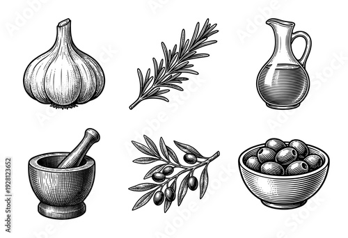 Vintage hand drawn engraving set of mediterranean kitchen ingredients featuring garlic rosemary olive oil mortar and pestle and olives in a bowl