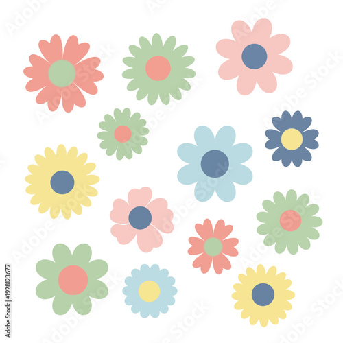 Colorful Daisy Flowers Collection, Flat Design, Vector Illustration