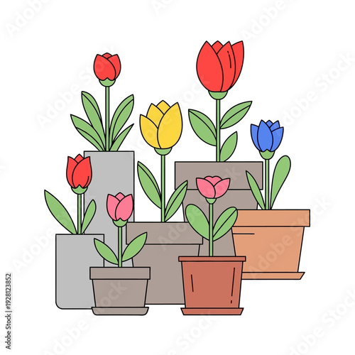 Colorful Tulips in Pots: Spring Garden Blooms, Vibrant Flower Arrangement
