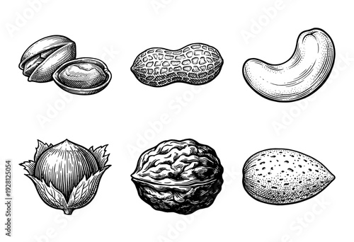 Set of six hand drawn vintage engraving style nut illustrations featuring pistachio peanut cashew hazelnut walnut and almond on a plain white surface