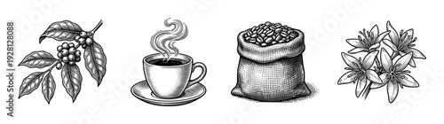 Vintage engraving style coffee collection featuring a flowering branch with berries, a steaming cup, a burlap sack of beans, and jasmine blossoms.