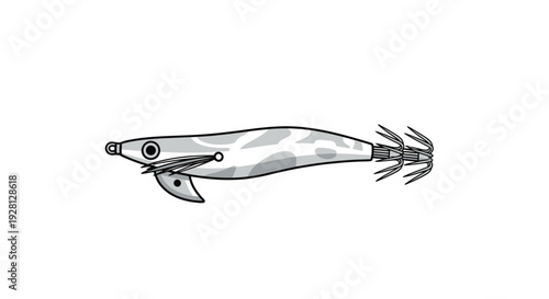 frog on a white background