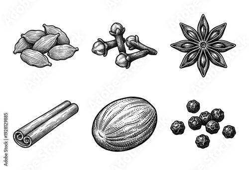 Vintage engraving of aromatic spices collection including cardamom, cloves, star anise, cinnamon stick, nutmeg, and black peppercorns in a monochrome woodcut style.