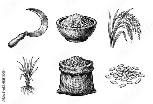 Vintage engraving style collection of rice agriculture elements including sickle tool, grain sacks, bowls, and stalks for farming and food design.