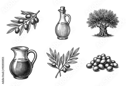 Set of vintage olive oil and branch illustrations in a woodcut engraving style