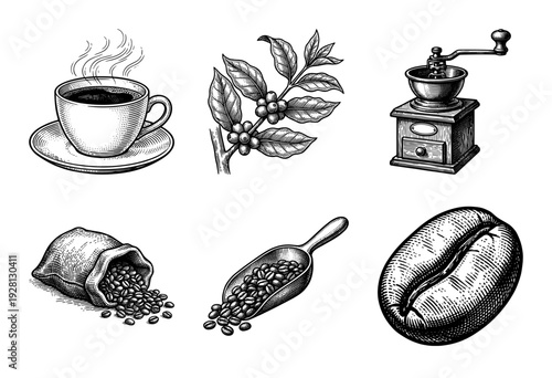 Vintage engraving collection of coffee production elements featuring a cup, plant branch, manual grinder, bean sack, scoop, and single large coffee bean.