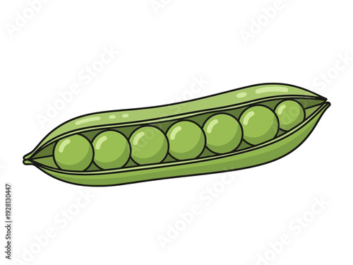 Open pea pod showing six bright green round peas inside