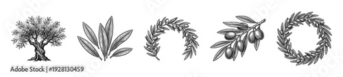 Vintage engraving collection of olive tree elements featuring branches, leaves, wreath, and fruit in a traditional hand-drawn etched style.