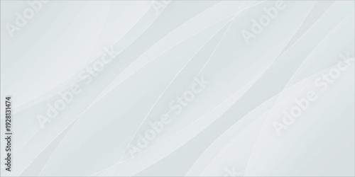 Abstract minimalist white and grey background with soft elegant curves.