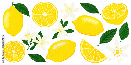 A vibrant collection of lemons blossoms and green leaves on white