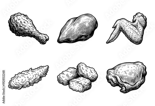 Vintage style hand drawn woodcut illustration of various chicken cuts including drumstick breast wing tender nuggets and thigh
