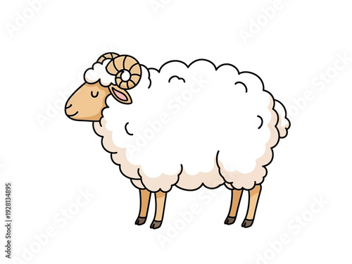 Cartoon ram illustration with large white fleece and curved horns on white background