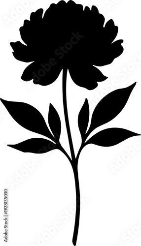 Peony Flower with Leaves Botanical Garden Plant Silhouette Vector in Solid Black on White Background