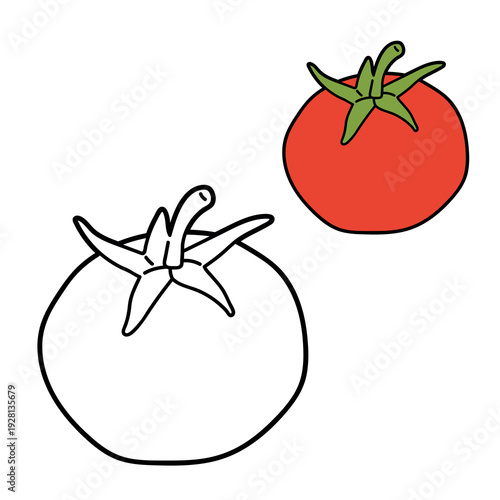 whole red tomato in colour and black outline versions. Simple flat illustration isolated on light background for menu, food design, colouring or coloring page.
