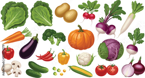Fresh Vegetable Garden Harvest Vector Illustration Set Featuring Pumpkin Cabbage Broccoli Carrots Eggplant Peppers Tomatoes and Onions for Healthy Organic Food Design.