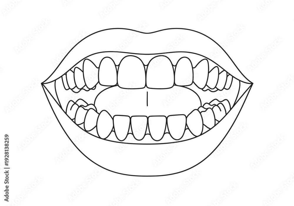 Obraz premium Black and white outline drawing of an open mouth showing upper and lower teeth