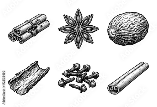 Set of aromatic spices and herbs in vintage woodcut engraving style featuring cinnamon sticks, star anise, nutmeg, and cloves for culinary design.
