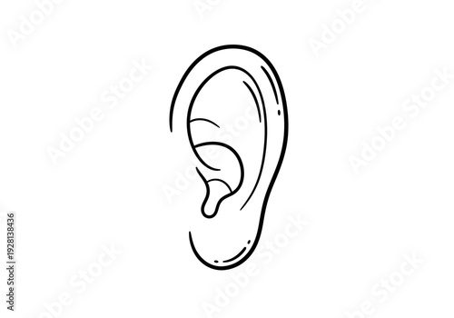 Black and white line drawing of a human external ear on a white background