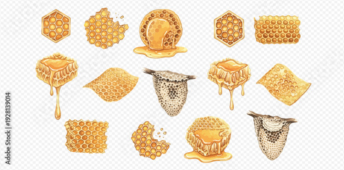 Set of watercolor illustrations of honeycombs, honey, and bee skeps in various shapes and forms.