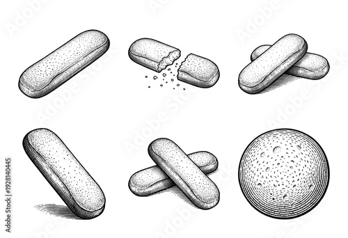 Vintage engraving style illustration of ladyfinger biscuits and sponge cookies in a collection of various angles and broken pieces