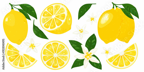 A vibrant collection of lemons lemon slices blossoms and green leaves
