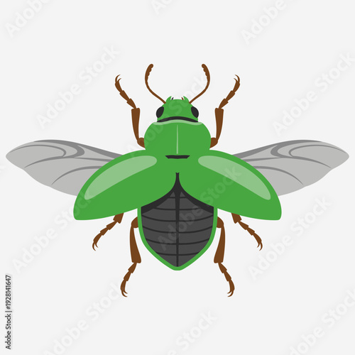Black Beetle Silhouette Icon – Insect Pest Bug Vector Illustration