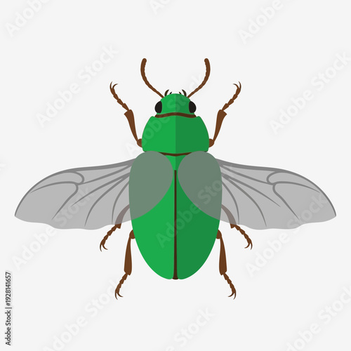 Black Beetle Silhouette Icon – Insect Pest Bug Vector Illustration