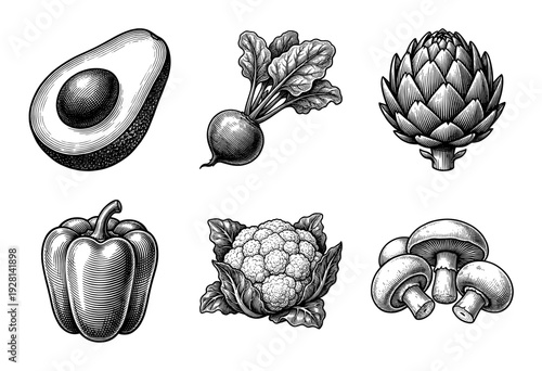 Vintage engraving style vegetable collection featuring hand drawn illustrations of avocado, radish, artichoke, bell pepper, cauliflower, and mushrooms.