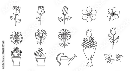 Collection of Flower Line Art Illustrations for Coloring Books.