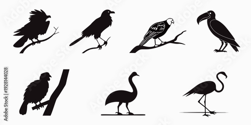 A collection of various bird silhouettes in different poses and orientations Vector