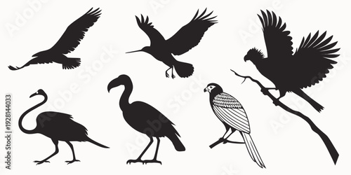 A collection of various bird silhouettes showcasing different species and postures. Vector