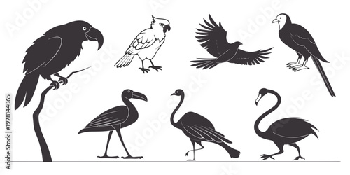 A diverse group of birds standing and swimming in a serene water setting. Vector