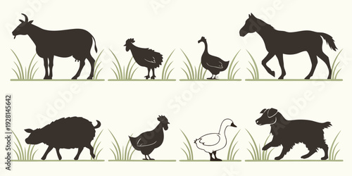 A visual representation of the evolution of horses from prehistoric times to modern day Vector