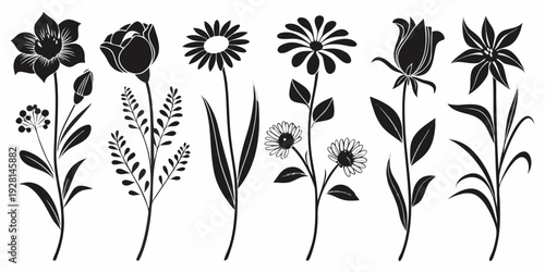 A beautiful collection of various flowers and plants in black and white illustration Vector