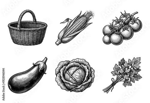 Vintage engraving style collection of fresh vegetables including corn eggplant cabbage and cherry tomatoes with a woven wicker basket