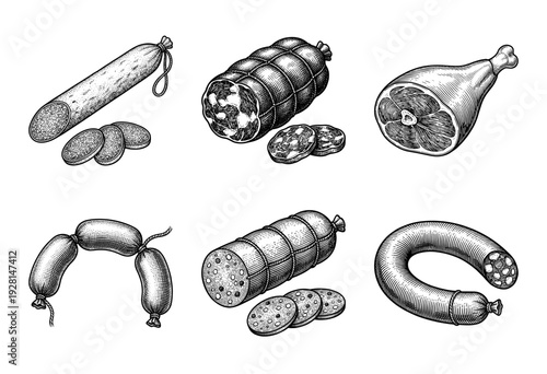 Vintage engraving style collection of assorted deli meats and cured sausages featuring salami, ham, and bologna in detailed hand drawn line art.