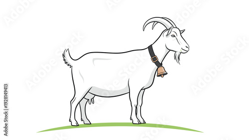 White domestic goat with curved horns and a bell around its neck stands peacefully on a small patch of green pasture.