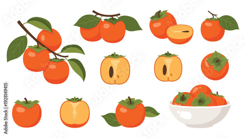 Assortment of ripe orange persimmons is shown as whole fruits on branches and sliced pieces arranged on a white background.