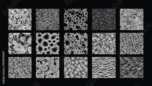 Collection of fifteen unique black and white abstract square textures with intricate patterns for backgrounds and design.