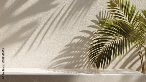 A neutral-toned scene showcasing a light-colored textured wall with dramatic shadows of palm leaves. A simple platform rests below