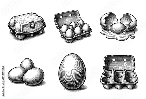 Vintage engraving style collection of chicken eggs in cartons and cracked open, featuring detailed woodcut hatching and crosshatching illustrations.