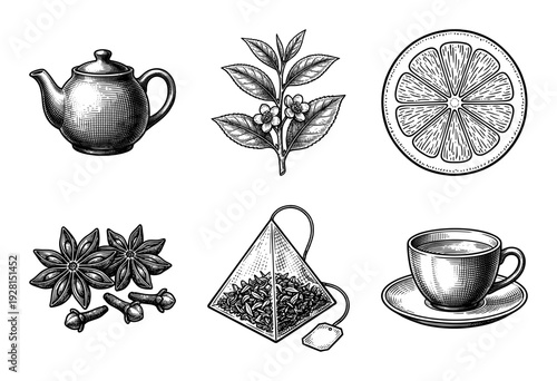 Vintage engraving style tea collection featuring a teapot, tea leaves, citrus slice, star anise, cloves, pyramid tea bag, and a cup with saucer.