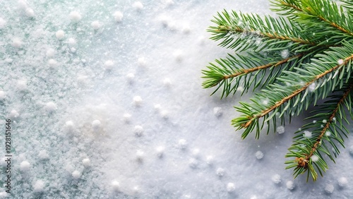 Wallpaper Mural Minimal Christmas Background With White Snow And Fir Trees Torontodigital.ca