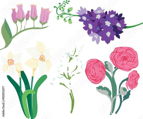 Brightly tropical colored flowers set for organic branding and identity vector